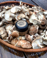 Shiitake Salve - Byccombe Natural Solutions