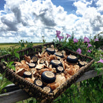 Shiitake Salve - Byccombe Natural Solutions
